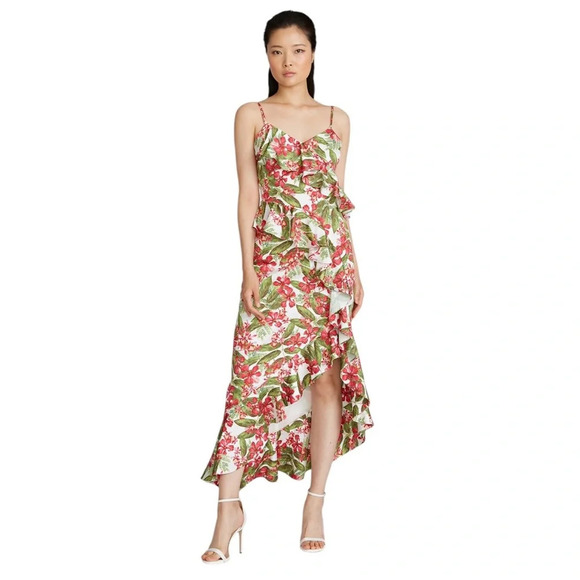 AMUR Dresses & Skirts - AMUR Womens Dress Deborah Tropical Floral Print Midi Ruffle High Low Size 10